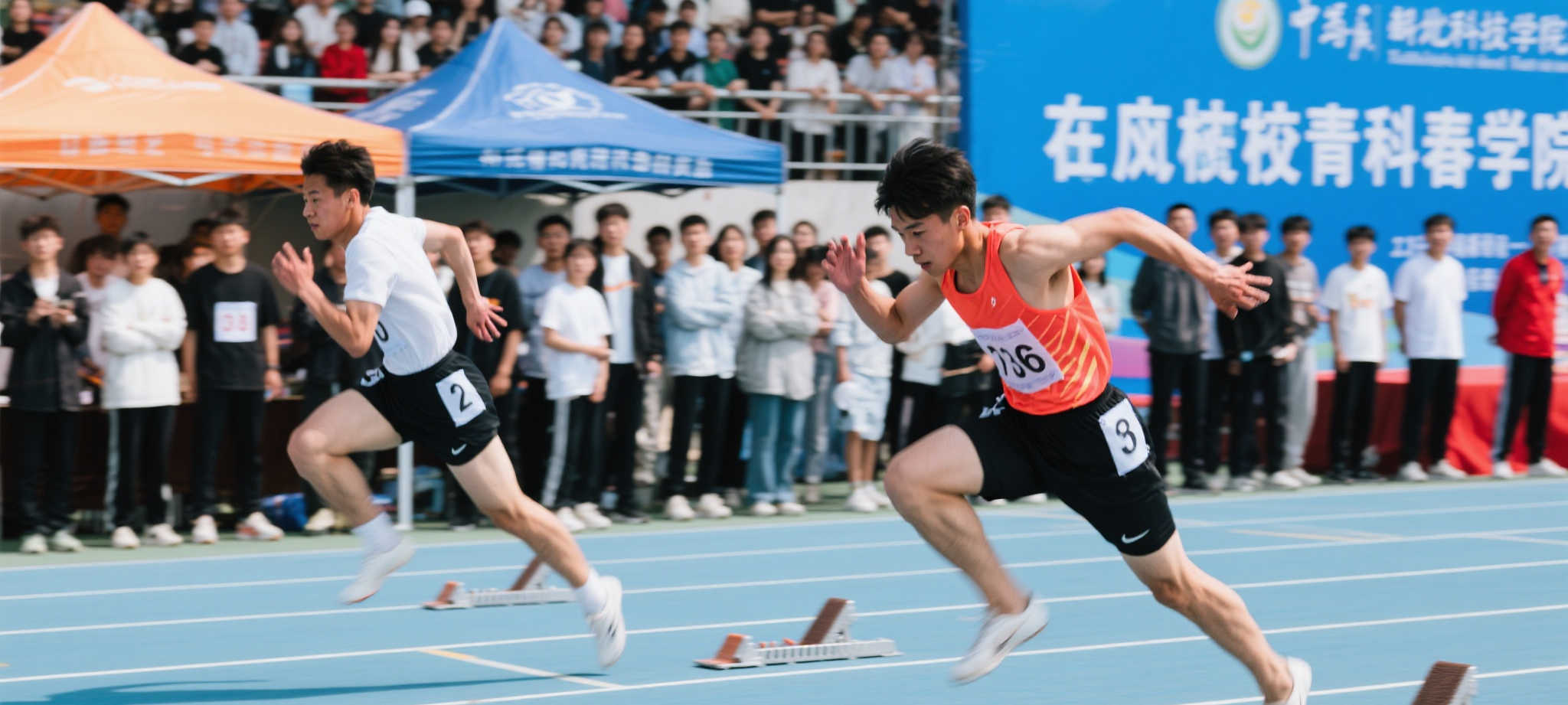 华体会体育简介